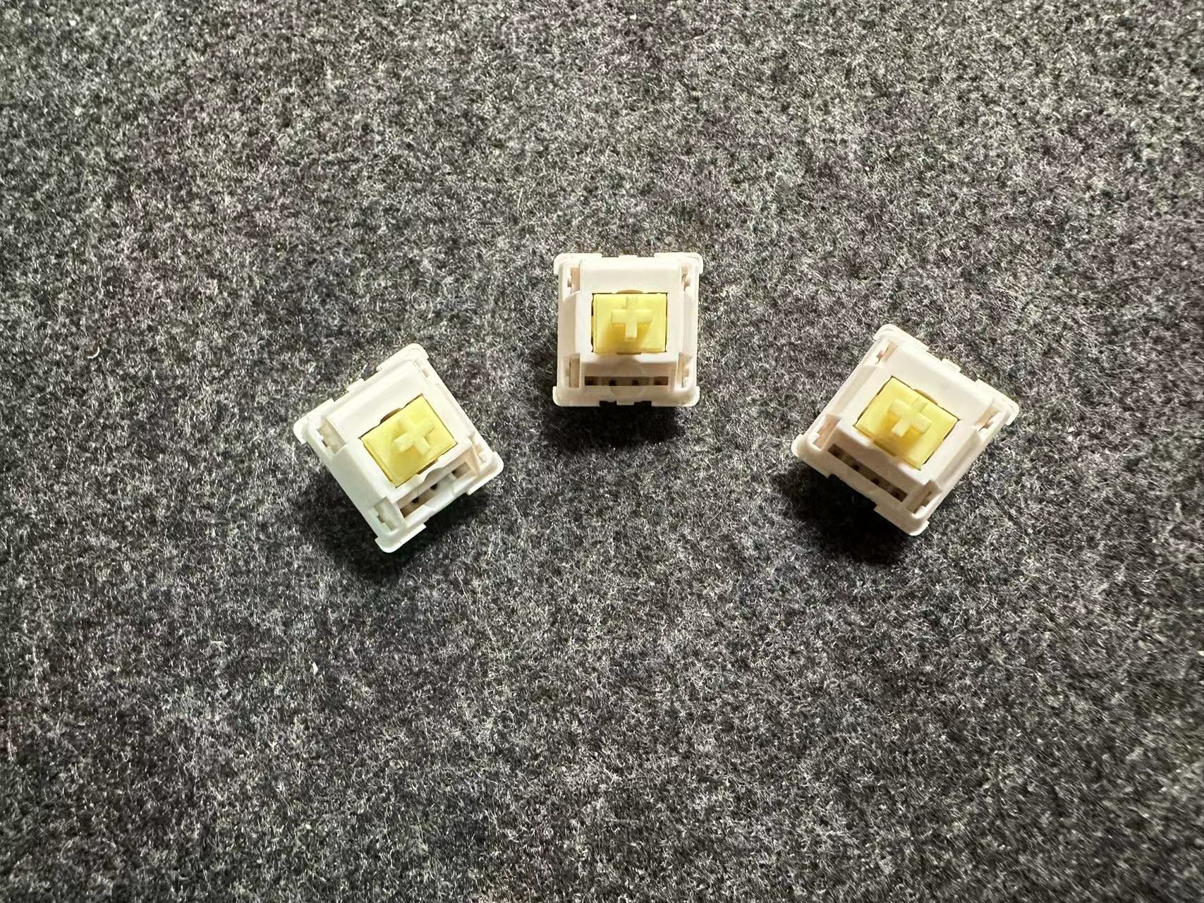 Molly Tactile Switches